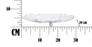 Svuota Tasche Bianco Heart Ø29x4 cm in Ferro Bianco e Oro