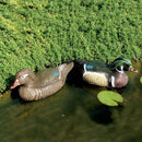 Anatra Sposa Decorativa H16 cm per Laghetti da Giardino