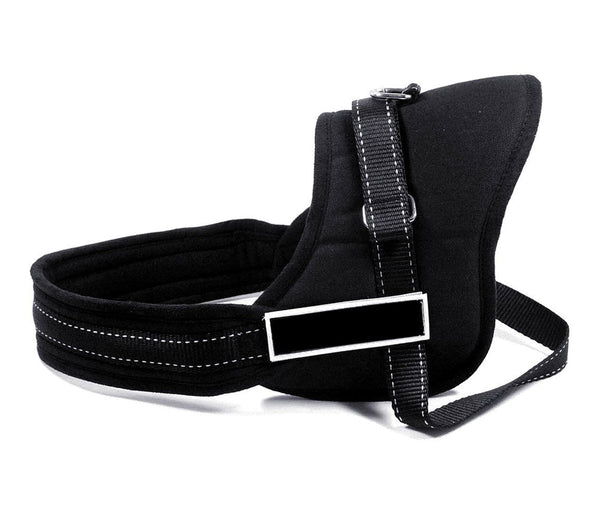 online Harnais de dressage rembourré Taille M pour chiens réglable Noir