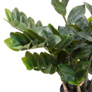Pianta Artificiale Zamifolia con Vaso H 89 cm