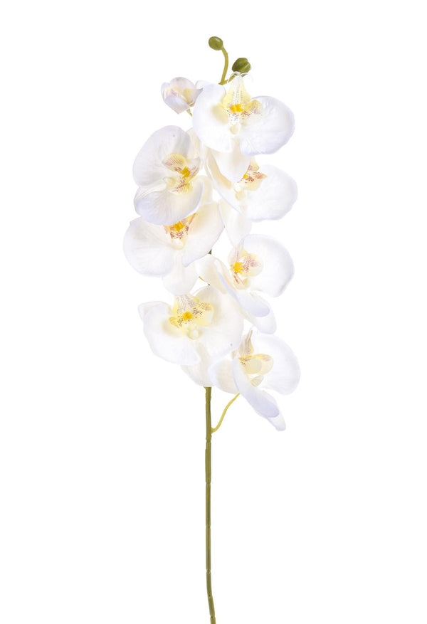 Lot de 8 Phalaenopsis artificiels avec 8 fleurs hauteur 65 cm blanc sconto