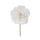 Lot de 24 Pics Pivoine à Paillettes 16 cm Crème