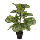 Pianta Artificiale Calathea in Vaso con 22 Foglie H 85 cm