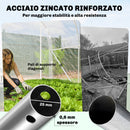 Serra a Tunnel 2x3x2 m con Porte Avvolgibili Telaio in Acciaio e Copertura in PE Anti-UV Trasparente      