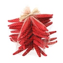 Stelle Marine Colorate 10 Pz 15x20 cm