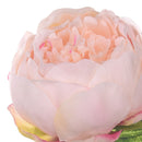 Set 6 Rami Artificiali Peonia H 48 cm