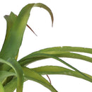 Set 2 Tillandsia Artificiale Misure 35x40 cm Verde