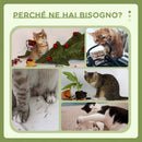 Albero Tiragraffi per Gatti con Lettino Piattaforma e Palo Sisal Verde e Bianco      