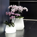 Vaso Luminoso da Giardino a LED 56x49x43 cm in Resina 5W Magnolia Multicolore