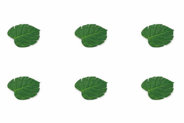 Ensemble de 6 sous-verres en feuilles Villa d'Este Home Tivoli Jungle online