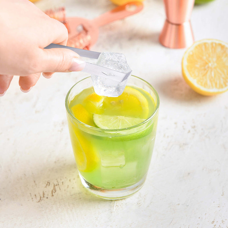 Secchiello per Ghiaccio Pinza e Coperchio Contenitore Refrigerante Capienza 1.2L Alpina