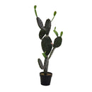 Pianta cactus con vaso nero cm 60x45xh119