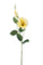 Lot de 12 Branches de Lisianthus Artificielles 2 Fleurs H 60 cm