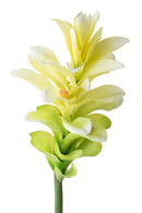 Set 4 Rami Artificiali Ginger Fiore con Foglie 100 cm 