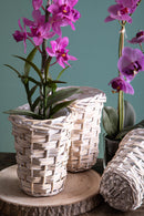 Set 6 Cesti in Materiale Naturale H 17 cm