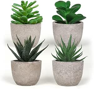 Set 4 Piante Grasse Artificiali con Vaso in Carta Pressata Grigio   