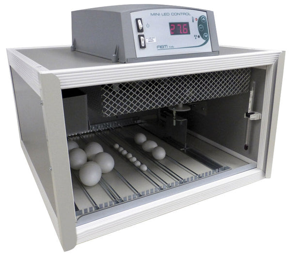 Cip Cip 40 Mini Incubateur d'Oeufs LCD prezzo