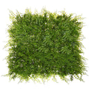 Mattonella Mix Si Felce Larghezza 50 cm