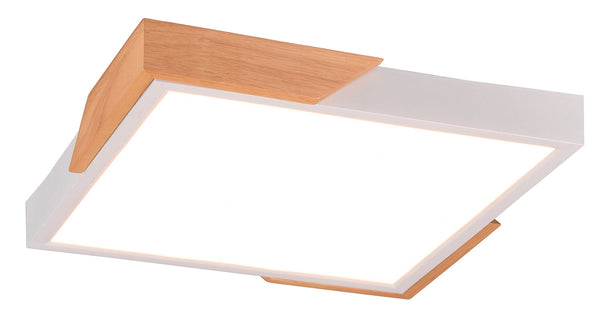 Plafoniera da Interno a LED in Plastica Bianco Opaco acquista