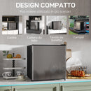Mini Frigorifero da 46L con Scomparto per Ghiaccio Porta Reversibile Temperatura Regolabile Argento      