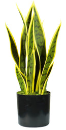 Pianta Artificiale Sansevieria H45 cm con Vaso Verde