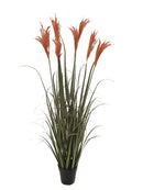 Set di 2 Cesti Frontali Larghezza 35 cm