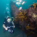 Acquascooter Elettrico Yamaha RDS280 DPV 4,5Km/h