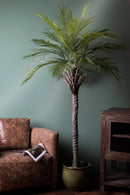 Pianta Artificiale Palma per 19 con Vaso 200 cm 