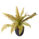 Set 3 Piante Artificiali Dicranopteris per 18 Foglie in Vasi 35 cm 