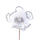 Set de 12 Pics Catleia H15 cm Blanc