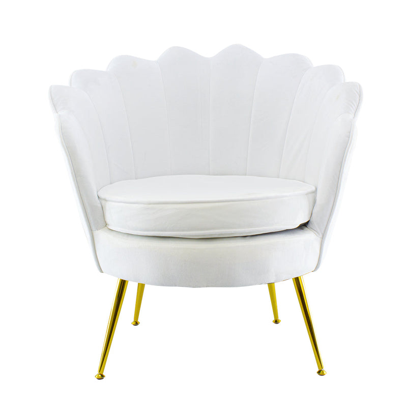 Poltrona Imbottita Schienale a Conchiglia in Velluto Piedi Oro Bianco