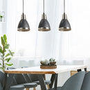 Lampada Moderna di Design a Sospensione 3 Luci in Metallo Nero Ø13x16x55 cm 