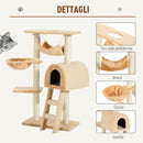 Albero Tiragraffi con Cuccia e Amaca Beige 55x30x100 cm 