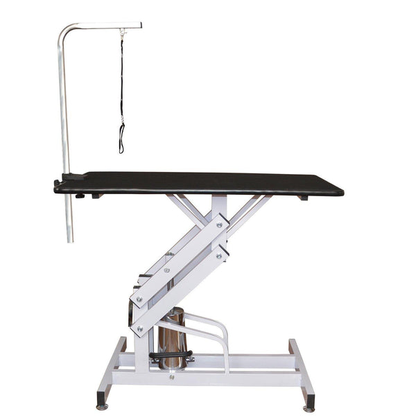 Table de toilettage et de tonte professionnelle pour animaux de compagnie 108x60 cm online