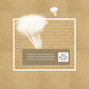 Tenda Vela da Giardino 4x6m in PE Sabbia 