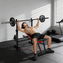 Panca Fitness con Rack per Pesi Schienale e Sedile Regolabili Dip Station Capacità 420 kg in Acciaio Nero e Rosso      