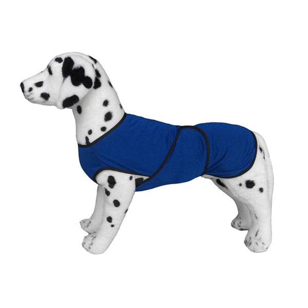 prezzo Manteau pour Chien en Microfibre Respirante Bleu Différentes Tailles