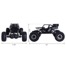 Monster Truck Radiocomandato Scala 1:16 Nero in ABS e Metallo Velocità Massima 20 km/h 