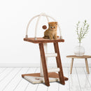 Albero Tiragraffi per Gatti con Scala e Palline in Legno Sisal Marrone e bianco 40x40x70 cm 