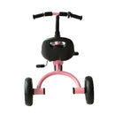 Triciclo per Bambini in Metallo con Campanello e Parafango Rosa 