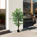 Pianta Artificiale di Ficus da Interno e Esterno H150 cm con Vaso Verde