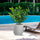 Vaso da Esterno Interno Design Cilindrico Ø35x34 cm Raffaello in Resina Bianco