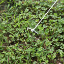 Serra da Giardino a Tunnel per Coltivazione Piante in PE 4x2x2 m 