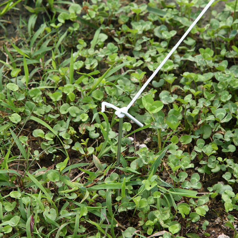 Serra da Giardino a Tunnel per Coltivazione Piante in PE 4x2x2 m 