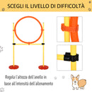 Set Addestramento per Cani con Paletti e Anello  Agility Dog