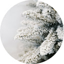 Albero di Natale Artificiale Innevato Eucalipto del Gargano Varie Misure