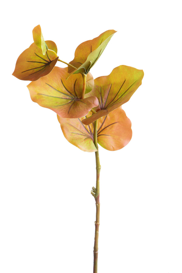 prezzo Set 12 Branches de Kalanchoé Artificiel Hauteur 74 cm Marron