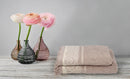 Set Spugna Asciugamani Ospite + Salvietta Kate Frangia Panna