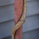 Alberello Bosso Artificiale H87 cm con Vaso Verde