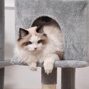 Albero Tiragraffi per Gatti 60x50x165 cm in Peluche e Corda Sisal Grigio e Beige